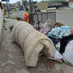 Alarma por basurales clandestinos y presencia de roedores en un barrio de la zona sur