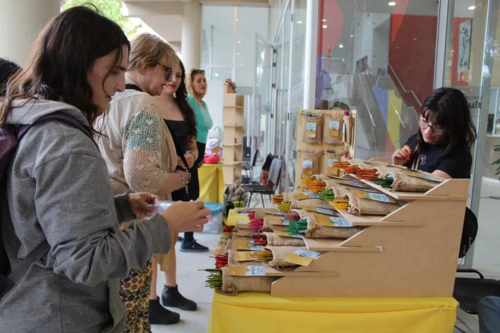 Artesanos, diseñadores, plazas culturales y jornadas recreativas al aire libre para toda la familia