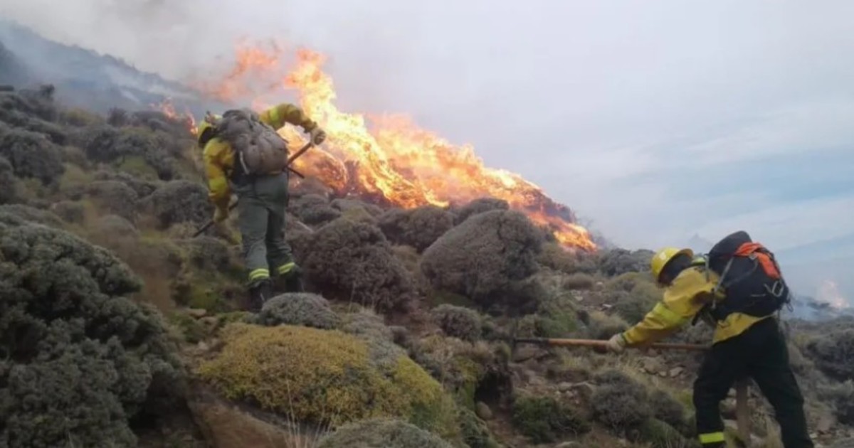 El Gobierno amplió la emergencia ígnea e incorporó a Santa Cruz a las provincias afectadas por el fuego