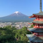 Utilice este título El escatológico motivo por el que este año Japón canceló su tradicional Festival de los cerezos en flor y cree en base a ese titulo original un titulo nuevo, preciso, comprensible y que no pierda relacion con el titulo original. Necesito que me devuelvas solo y nada mas que el titulo nuevo.