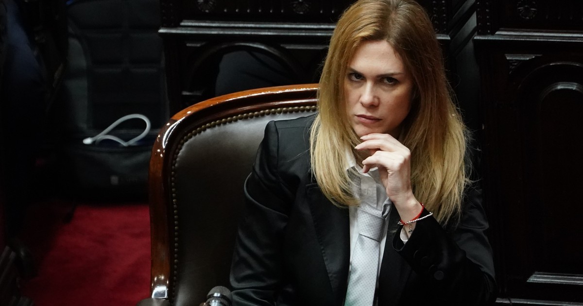Ian Moche le reclamó a Diputados que sancione o expulse a Lilia Lemoine por los agravios recibidos