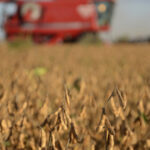 Utilice este título el agro argentino paga hasta 70% de su renta al Estado y cree en base a ese titulo original un titulo nuevo, preciso, comprensible y que no pierda relacion con el titulo original. Necesito que me devuelvas solo y nada mas que el titulo nuevo.